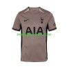 Maillot de Foot Tottenham Hotspur Troisième 2023-24 Maillot de Foot Tottenham Hotspur Troisième 2023-24
